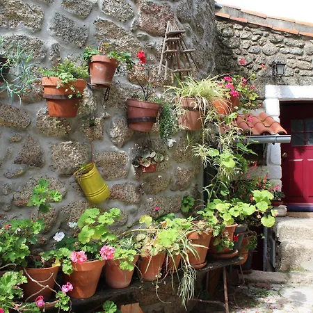 Lugar São Salvador De Casa de Férias