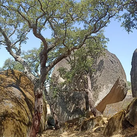 Lugar São Salvador De Monsanto