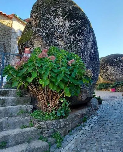 Lugar Sao Salvador De Semesterbostad