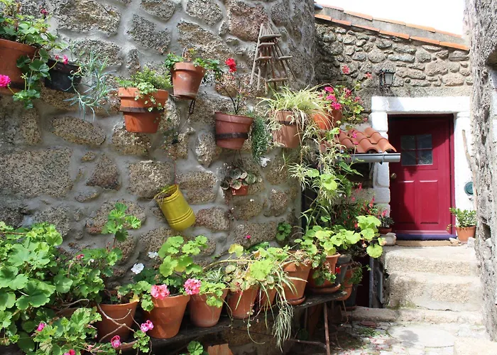 Lugar Sao Salvador De Semesterbostad