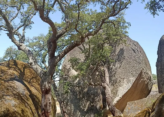 Lugar Sao Salvador De Monsanto
